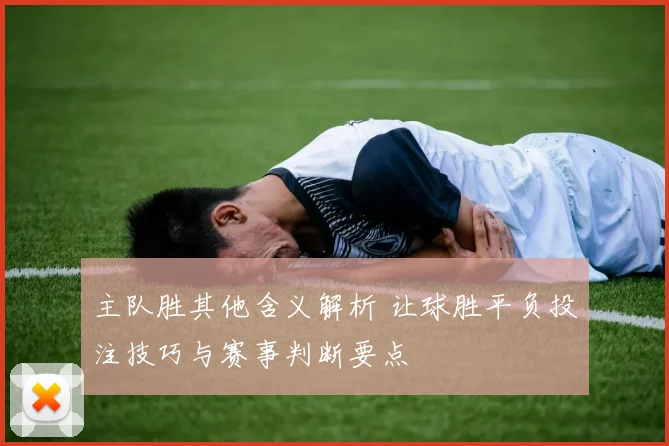 主队胜其他含义解析 让球胜平负投注技巧与赛事判断要点