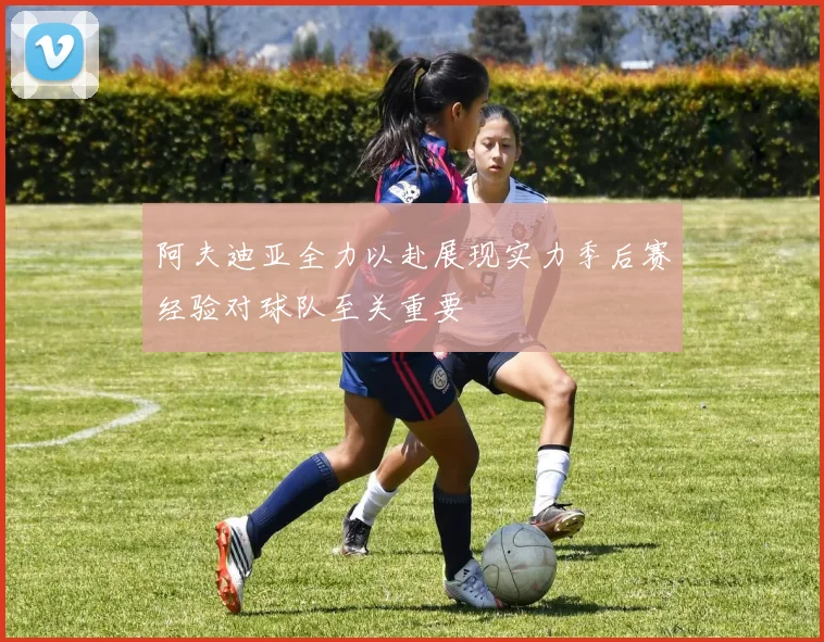 阿夫迪亚全力以赴展现实力季后赛经验对球队至关重要