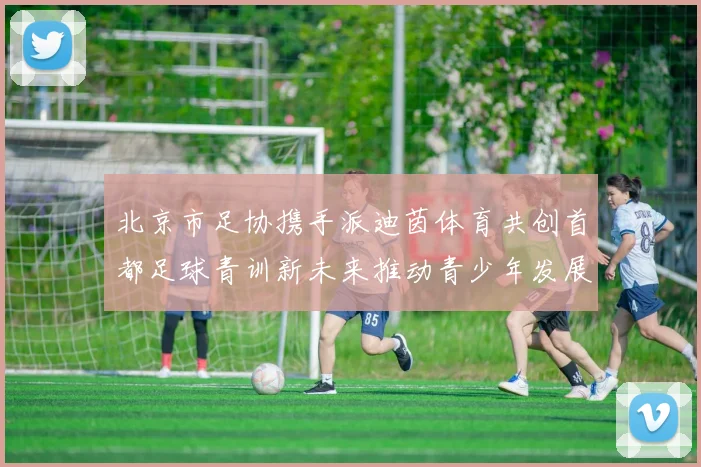 北京市足协携手派迪茵体育共创首都足球青训新未来推动青少年发展与足球事业繁荣