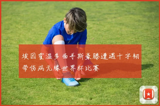 埃因霍温多面手斯豪滕遭遇十字韧带伤病无缘世界杯比赛