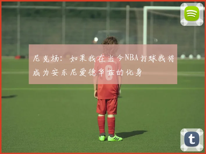尼克杨：如果我在当今NBA打球我将成为安东尼爱德华兹的化身